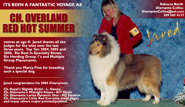 Diamante Collies -- CH Overland Red Hot Summer
