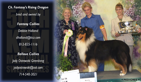 Fantasy Collies and Bellvue Collies -- CH Fantasy's Rising Dragon
