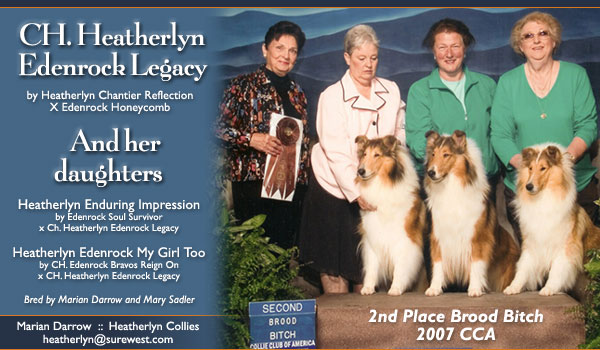 Heatherlyn -- CH Heatherlyn Edenrock Legacy