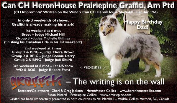 Heron House Collies and Prairie Pine Collies -- Can. CH HeronHouse Prairiepine Graffiti