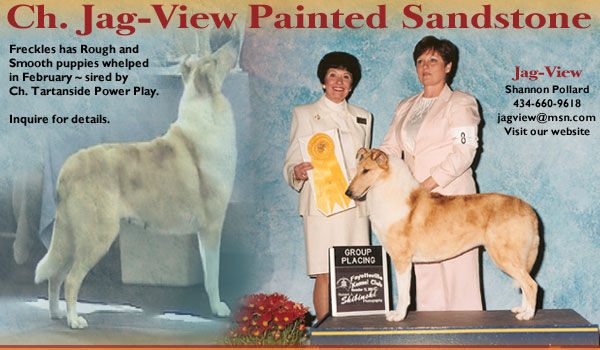 Jag-View Collies -- CH Jag-View Painted Sandstone