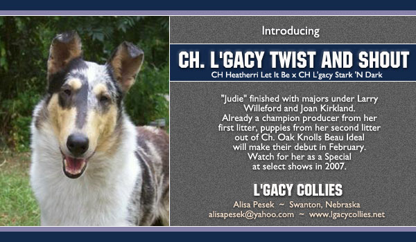L'GACY COLLIES -- CH L'gacyTwist And Shout