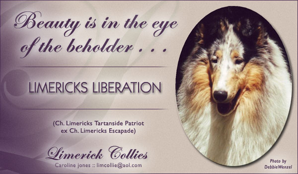 Limerick -- Limericks Liberation