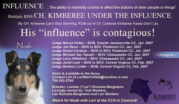 Lorimar/Kimberee -- CH Kimberee Under The Influence