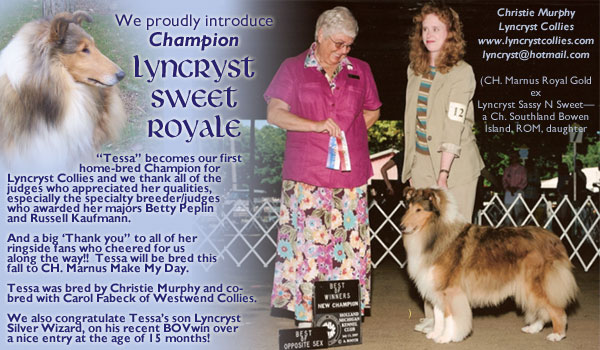 Lyncryst -- CH Lyncryst Sweet Royale