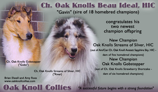 Oak Knoll Collies