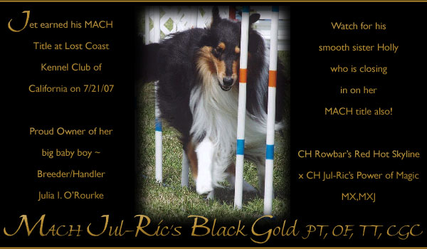 Julia O'Rourke -- MACH Jul-Ric's Black Gold PT, OF, TT, CGC