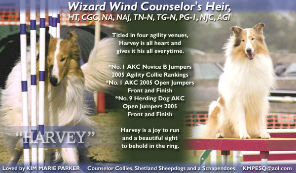 Counselor -- Wizard Wind Counselor's Heir, HT, CGC, NA, NAJ, TN-N, TG-N, PG-1, NJC, AGI