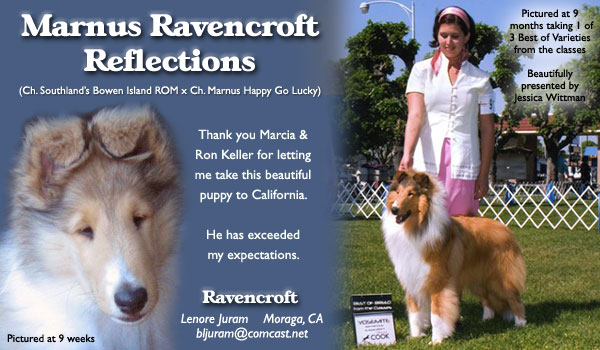 Ravencroft -- Marnus Ravencroft Reflections