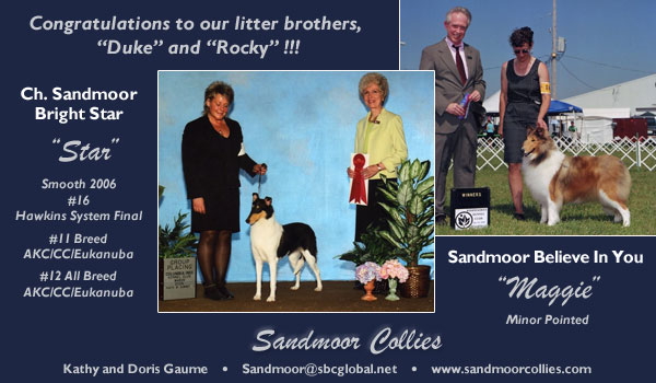 Sandmoor -- CH Sandmoor Bright Star and Sandmoor Believe In You