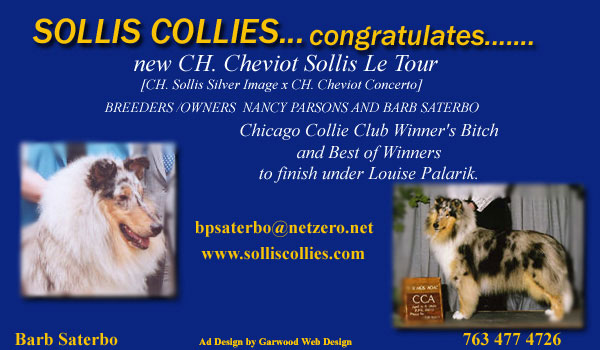 Sollis -- CH Cheviot Sollis Le Tour