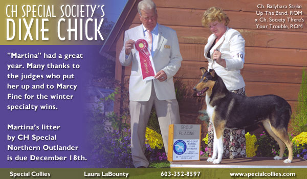 Special -- CH Special Society's Dixie Chick