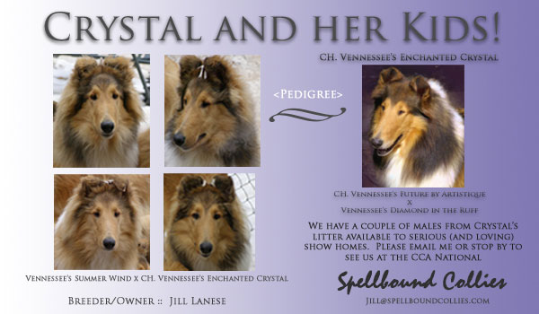 Spellbound -- CH Vennessee's Enchanted Crystal