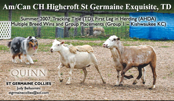 St Germaine -- A/C CH Highcroft St Germaine Exquisite TD