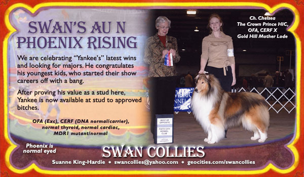 Swan -- Swan's Au N Phoenix Rising