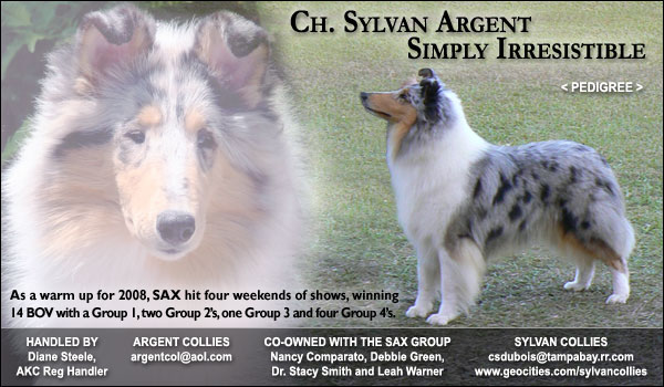 Argent Collies / Sylvan Collies / SAX Group -- CH Sylvan Argent Simply Irresistible