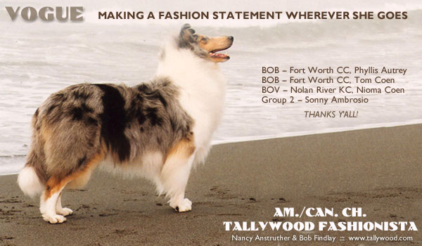 Tallywood -- A/C CH Tallywood Fashionista