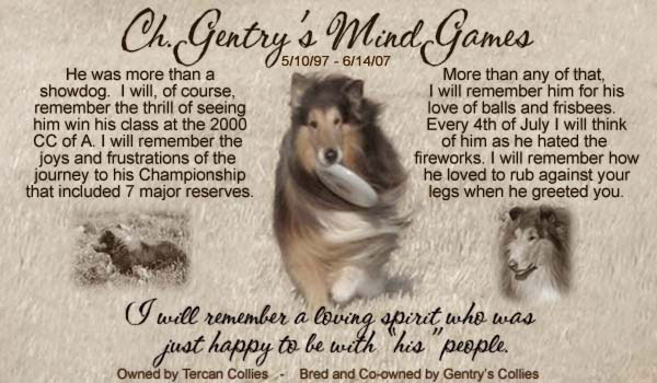 Tercan Collies and Gentry's Collies -- CH Gentry's Mind Games