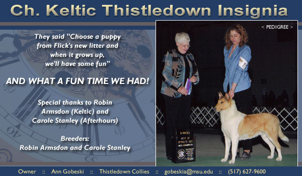 Thistledown -- CH Keltic Thistledown Insignia