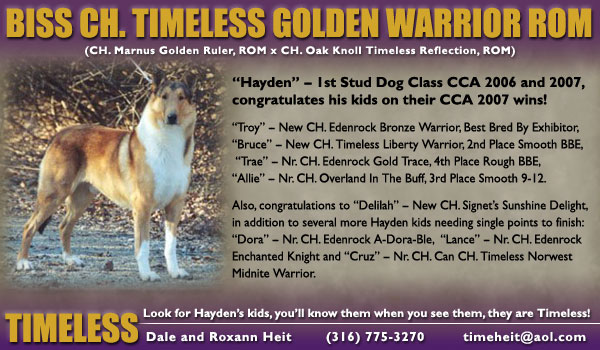 Timeless -- CH Timeless Golden Warrior ROM