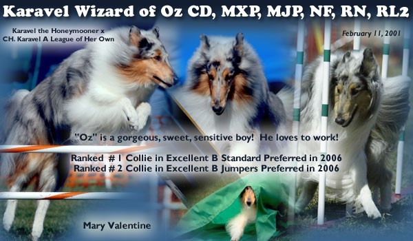 Mary Valentine -- Karavel Wizard of Oz CD, MXP, MJP, RN, RL2