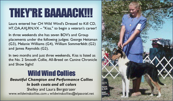 Wild Wind -- CH Wild Wind's Dressed to Kill CD,HT,OA,AXJ,RN,VX