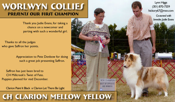 Worlwyn -- CH Clarion Mellow Yellow