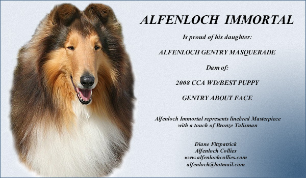 Alfenloch -- Alfenloch Immortal