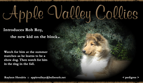 Apple Valley -- Apple Valley Rob Roy