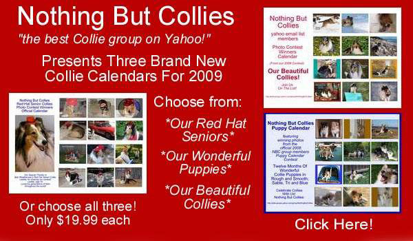 Nothing But Collies 2009 Calendars