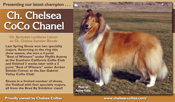 Chelsea -- CH Chelsea CoCo Chanel