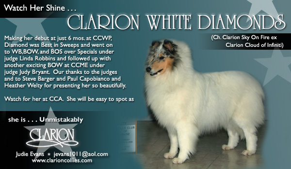 Clarion -- Clarion White Diamonds
