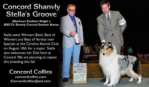 Concord -- Concord Shanvly Stella's Groove