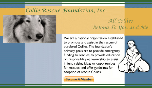 Collie Rescue Foundation, Inc. --  Find A Rescue