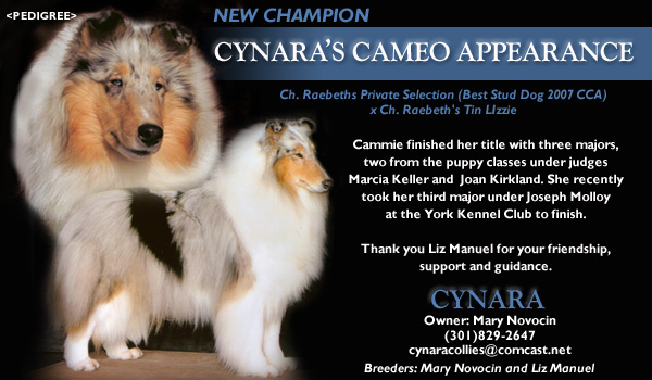 Cynara -- CH Cynara's Cameo Appearance