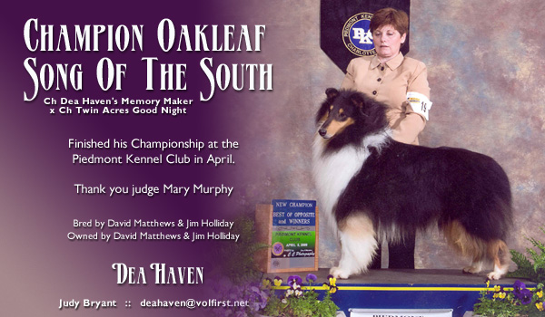Dea Haven -- CH Oakleaf Song Of The South