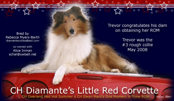 Diamante -- CH Diamante's Little Red Corvette