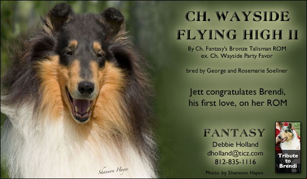 Fantasy -- CH Wayside Flying High II