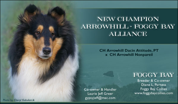 Arrowhill / Foggy Bay -- CH Arrowhill-Foggy Bay Alliance