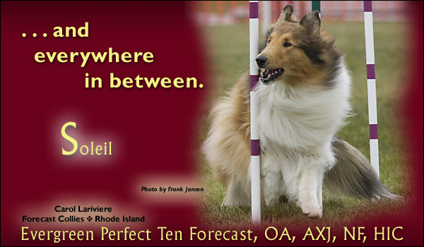 Forecast -- Evergreen Perfect Ten Forecast, OA, AXJ, NF, HIC