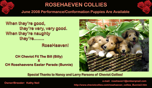 Rosehaeven Collies