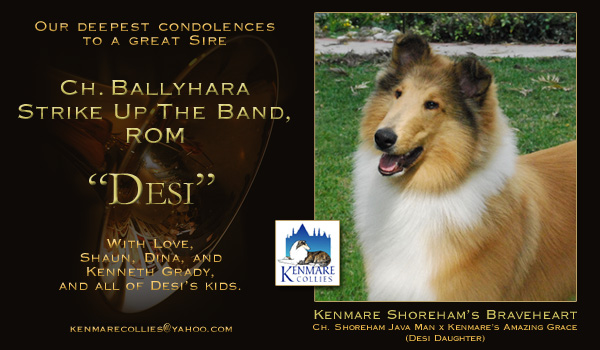 Kenmare  Collies -- A tribute to CH Ballyhara Strike Up The Band, ROM
