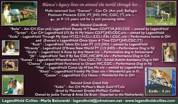 Legendhold Collies -- Tribute to CH Bellagio Platinum Perfection HIC