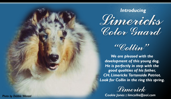 Limerick -- Limericks Color Guard