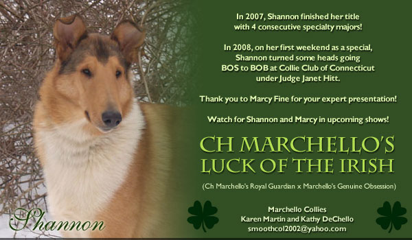 Marchello -- CH Marchello's Luck Of The Irish