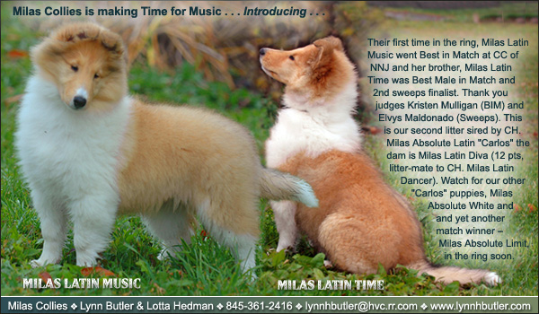 Milas -- Milas Latin Music and Milas Latin Time