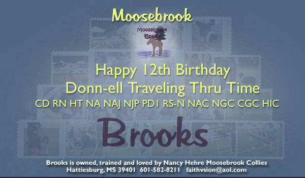 Moosebrook -- Donn-ell Traveling Thru Time CD RN HT NA NAJ NJP PDI Rs-N NAC NGC CGC HIC