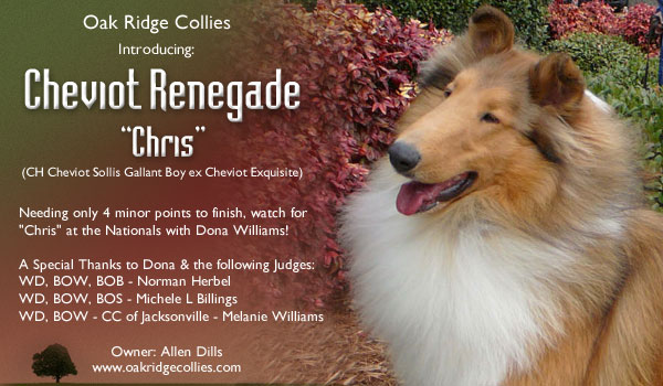 Oak Ridge -- Cheviot Renegade