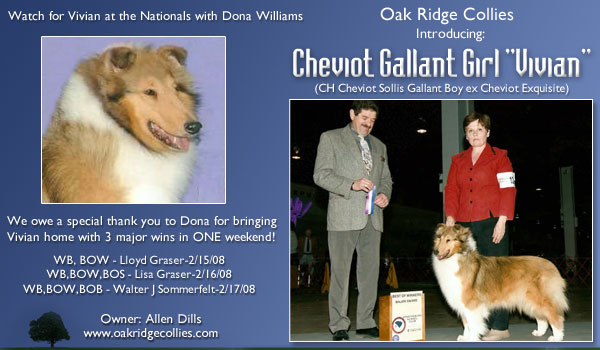 Oak Ridge -- Cheviot Gallant Girl