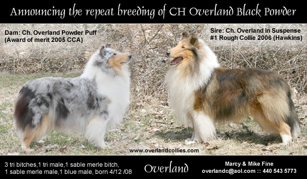 Overland -- CH Overland Powder Puff and CH Overland In Suspense